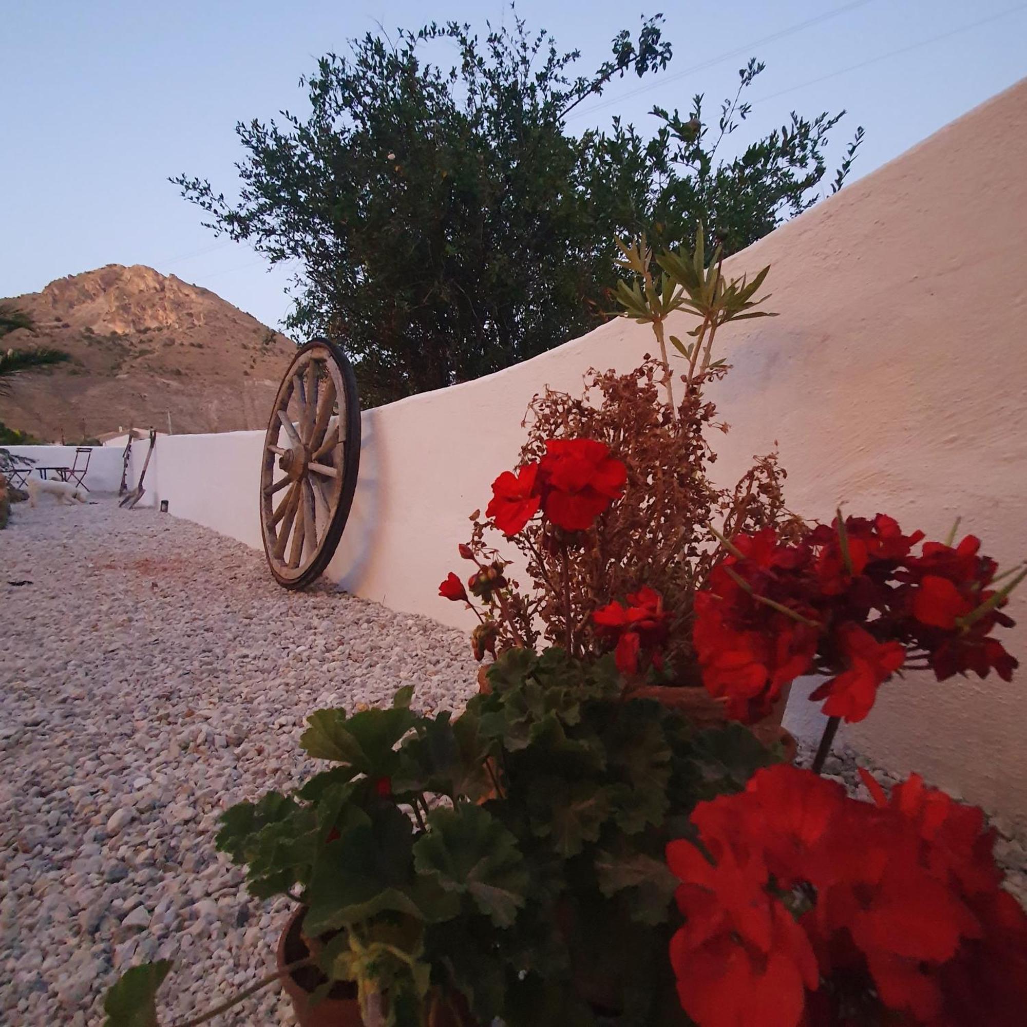 Casa Satori Bed & Breakfast Oria Exterior foto
